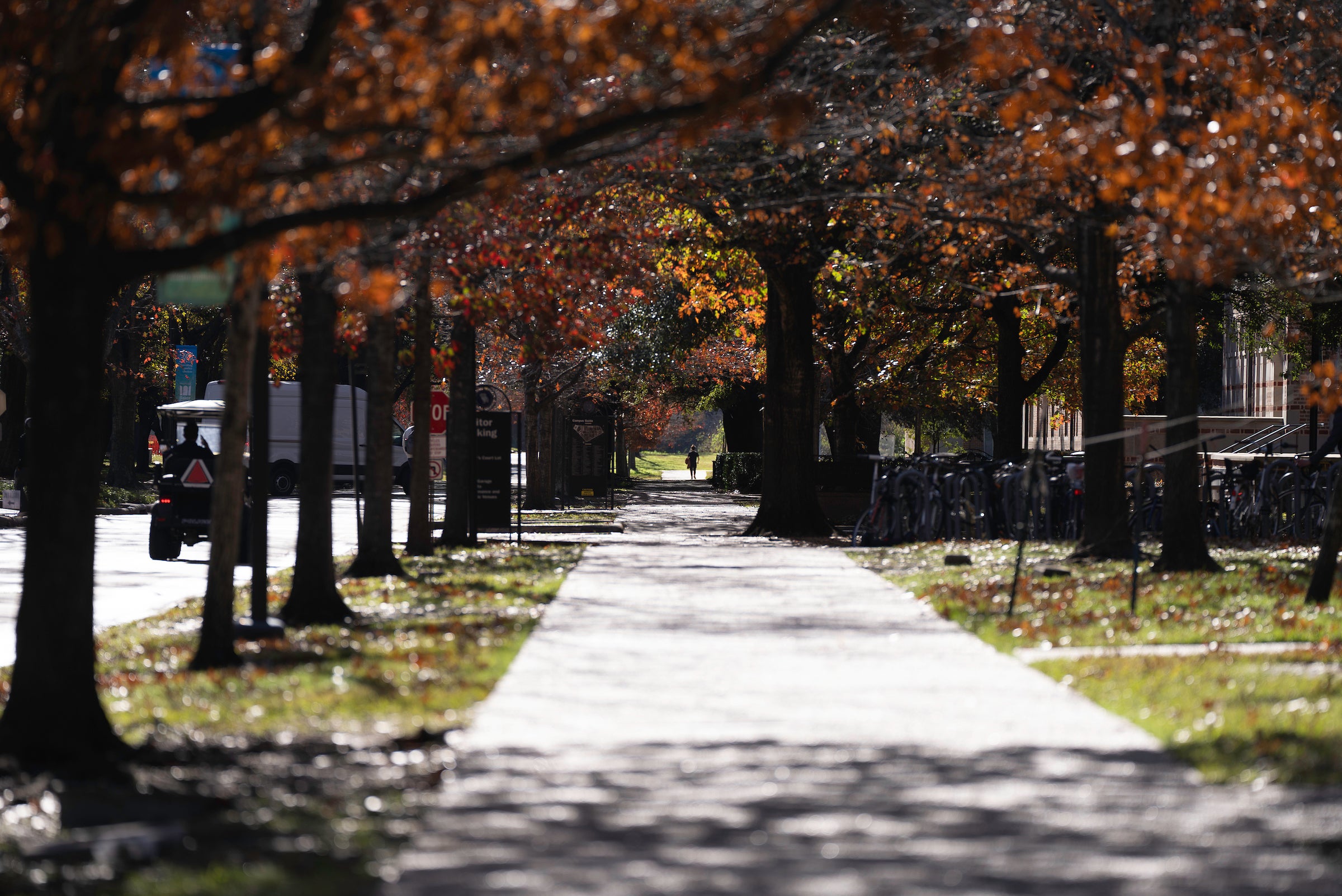 rice university sidewalk