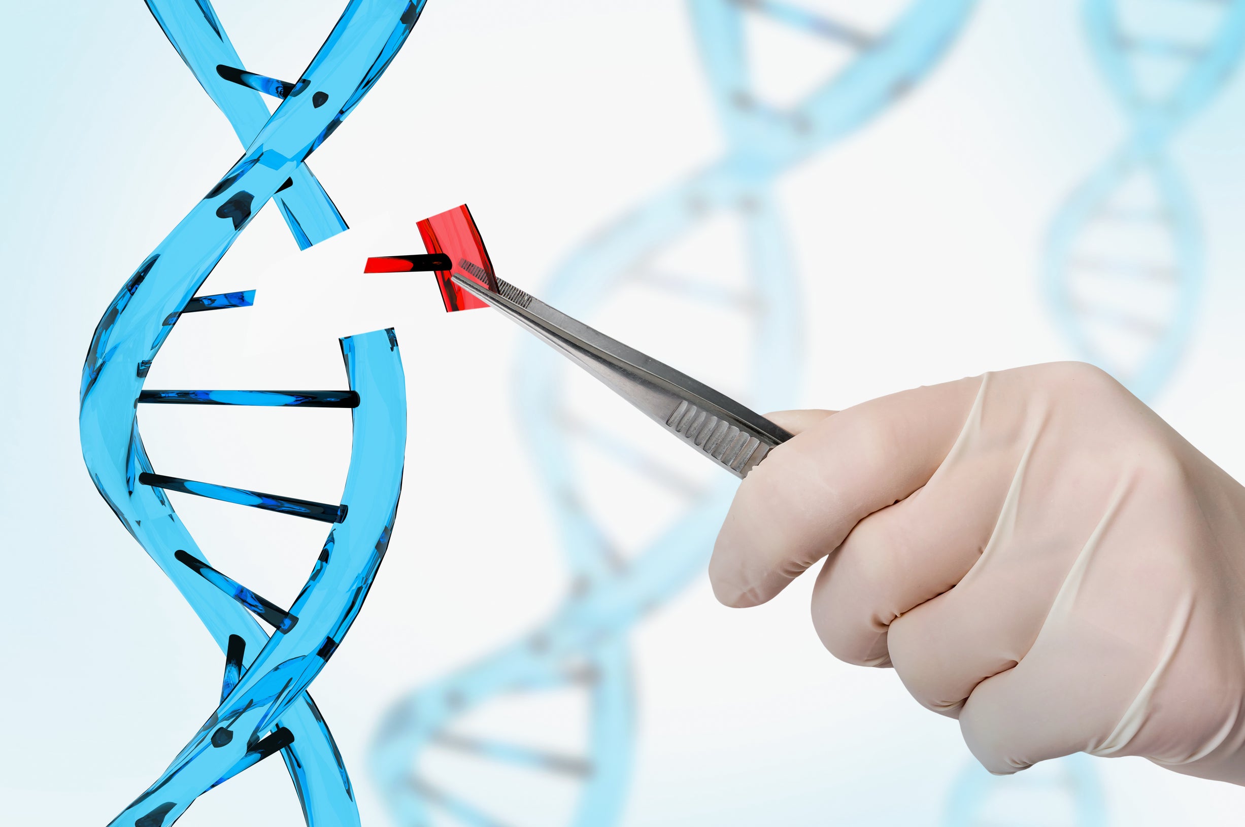 scientist performing gene editing