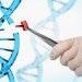scientist performing gene editing